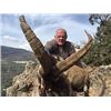 Image 5 : Spain Corju Hunting 3-day hunt for 2 Hunters for Southeastern Ibex