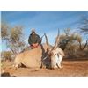 Image 3 : Namibia Africa 10 Day Hunt for 2 Hunters and 2 Non-hunters - Trophy Animals Included