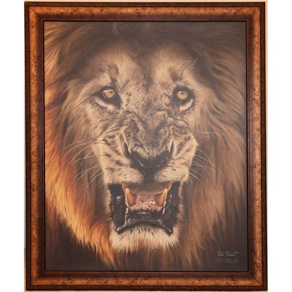 2025 SCI Print of the Year  ---  "RAW"