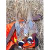 Image 4 : Wil-Nor Hunter Preserve if offering a 2 person "Guided Hunt with dog" to include 8-pheasants
