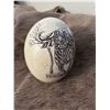 Image 3 : Ostrich Egg - Hand Crafted Scrimshaw Cape Buffalo Ostrich Egg from Zimbabwe