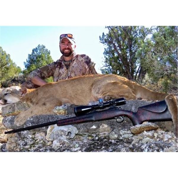 Arizona - Diamond Outfitters -5 -DAY TROPHY MOUNTAIN LION HUNT W/HOUNDS for 1 Hunter