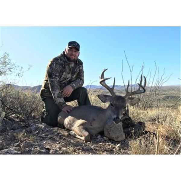 Arizona Diamond Outfitters 5-DAY COUES DEER HUNT FOR 2 HUNTERS (with free mountain lion bonus)