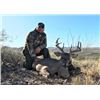 Image 1 : Arizona Diamond Outfitters 5-DAY COUES DEER HUNT FOR 2 HUNTERS (with free mountain lion bonus)