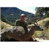 Image 3 : Arizona Diamond Outfitters 5-DAY COUES DEER HUNT FOR 2 HUNTERS (with free mountain lion bonus)