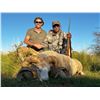 Image 6 : Catena Safaris Argentina is offering a 5 Day Big Game Hunt for up to 4 Hunters. Trophy fees included