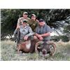 Image 7 : Catena Safaris Argentina is offering a 5 Day Big Game Hunt for up to 4 Hunters. Trophy fees included