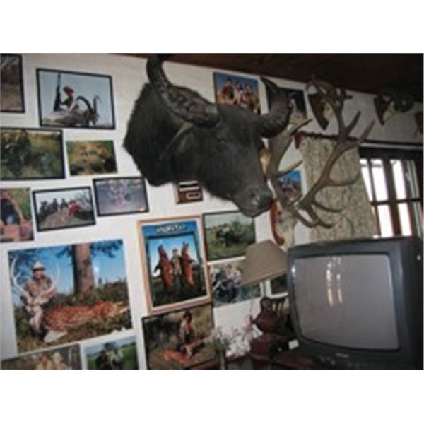 7-day Argentina Big Game Hunt for Two Hunters - Includes Three Trophies for Each Hunter