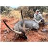 Image 13 : Graham Safaris is offering a 7-day hunt for 2 hunters. $2500 credit toward trophy fees per hunter