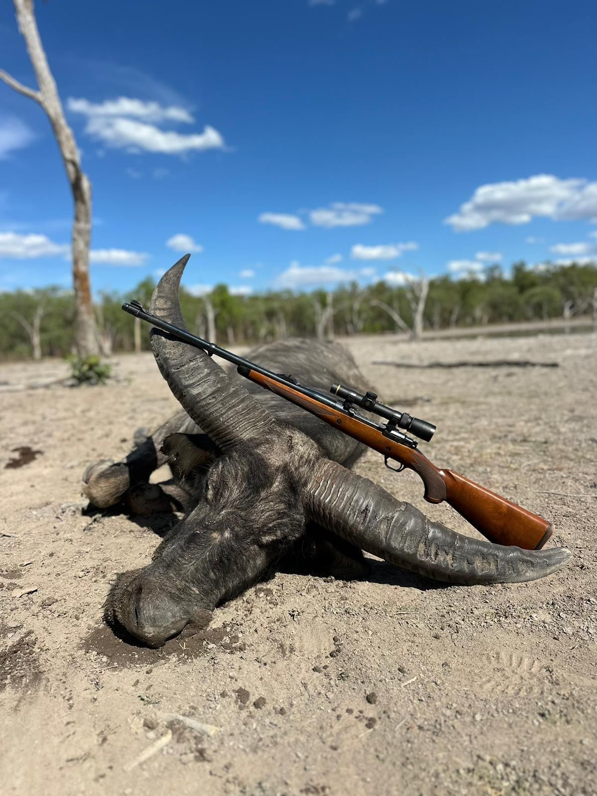 Australia Hunt Adventure for Up to 2 Hunters. Trophy Fees include 2 ...