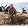 Image 2 : Curro Carrizosa Outfitters is offering a Spain, 3-day hunt for one Iberian Red Deer