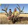Image 4 : Curro Carrizosa Outfitters is offering a Spain, 3-day hunt for one Iberian Red Deer