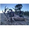 Image 5 : Curro Carrizosa Outfitters is offering a Spain, 3-day hunt for one Iberian Red Deer