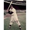 Image 1 : Willie Mays signed photo