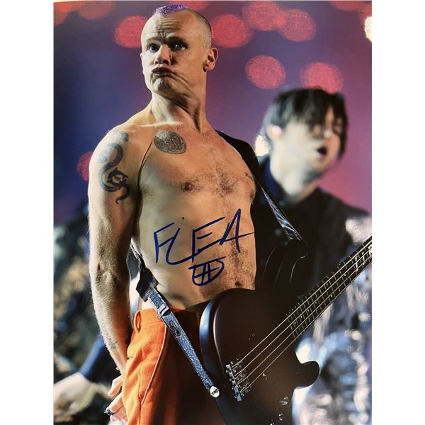 Red Hot Chili Peppers Flea signed photo