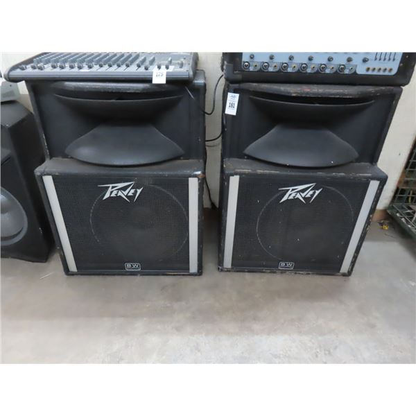 Peavey BW Stage Speakers - Pair