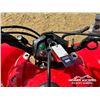 Image 9 : 2013 HONDA TRX250X ATV