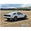 Image 3 : 1982 PONTIAC FIREBIRD 2 DOOR CAR