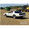 Image 4 : 1982 PONTIAC FIREBIRD 2 DOOR CAR