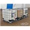 Image 2 : (3) 1000 LITRE POLY TOTES