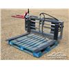 Image 1 : HYDRAULIC SKID STEER PALLET FORKS