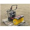 Image 2 : WALK BEHIND POWER SWEEPER