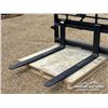 Image 6 : 4 FT. SKID STEER PALLET FORKS