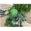 Image 9 : ARTIFICIAL HOUSE PLANTS