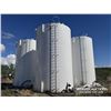 Image 2 : 2012 WESTERN 750 BBL LINED OILFIELD TANK