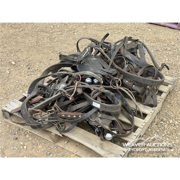 LEATHER DRIVING HARNESS