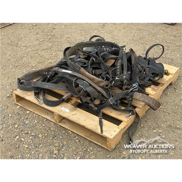 NYLON HARNESS