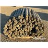 Image 5 : BUNDLE OF 6 FT. TREATED FENCE POSTS
