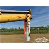Image 13 : WESTFIELD W 80-41 GRAIN AUGER
