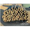 Image 5 : BUNDLE OF 6 FT. TREATED FENCE POSTS