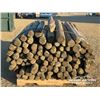 Image 5 : BUNDLE OF 6 FT. TREATED FENCE POSTS