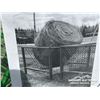 Image 2 : 6 FT. X 6 FT. GOAT BALE FEEDER