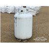 Image 4 : 120 GALLON PROPANE TANK