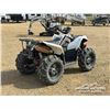 Image 3 : 2013 POLARIS SCRAMBLER 850 ATV