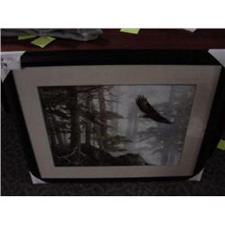 eagle And Forest Print