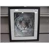 Image 1 : tiger Portrait' Print By Robert Bateman	tiger Portrait' Print By Robert Bateman