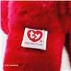 Image 4 : Beanie Baby Buddies Collection - Pierre