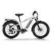 Image 1 : Himiway D5 Premium All-terrain Electric Bike