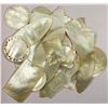 Image 1 : CHINA: LOT of 26 mother of pearl tokens