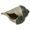 Image 2 : Ae Alison Evans Ceramics Glazed Tall Shell Teapot