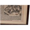 Image 4 : Incunabular Sheet - Nuremberg Chronicle