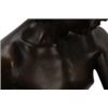 Image 6 : Pierre Marius Montagne - Bronze Hermes