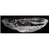 Image 4 : Lalique Koi Concarneau Crystal Ashtray