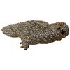 Image 6 : Gold Tone Rhinestone Figural Owl Brooch Lot