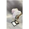 Image 2 : 4.5" AMETHYST CLUSTER LISTED RETAIL $600