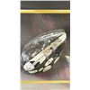 Image 2 : ORTHOCERAS FOSSIL ON DISPLAY LISTED RETAIL $800